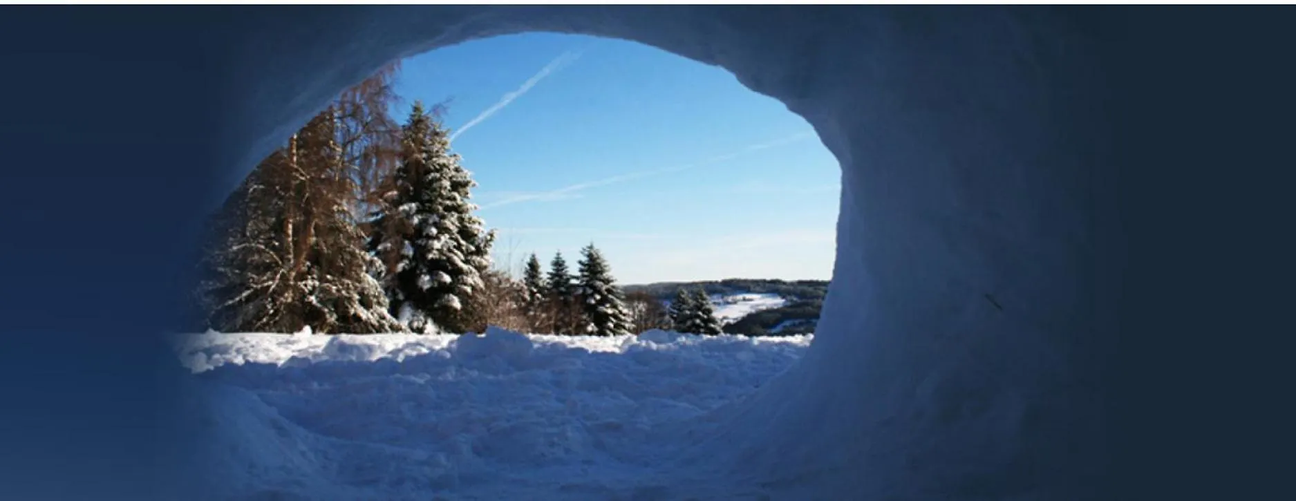 Guest house Chalet Vacances De L'Ours 